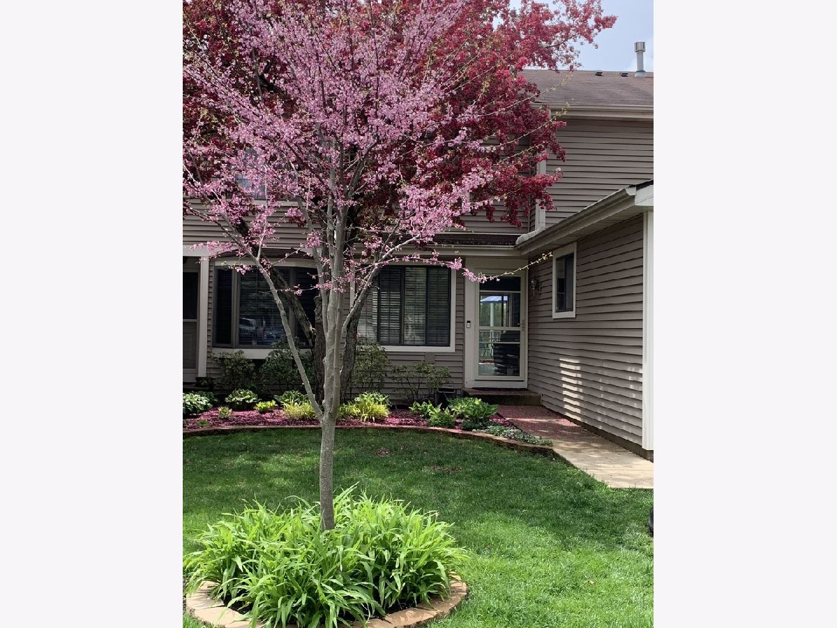 Townhomes & Homes Sold Forest Knoll Palatine Illinois, 227 Forest Knoll