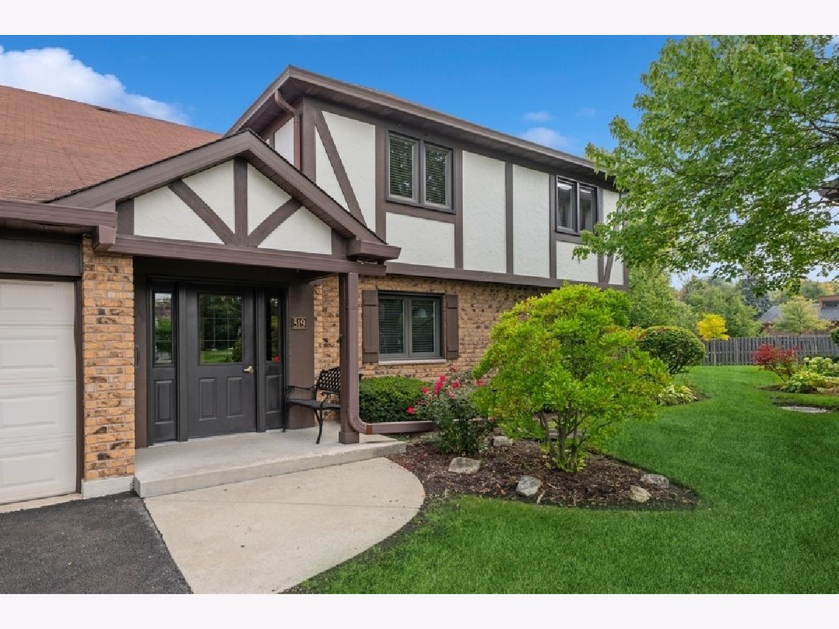 Condos & Townhomes Sold Banyon Cove La Grange Illinois, 519 Banyon