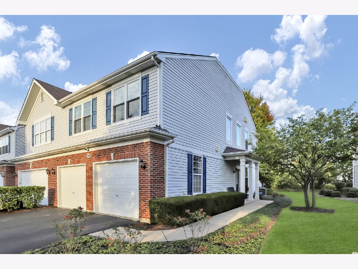 Townhomes & Homes Sold Blackberry Knoll Oswego Illinois, 358 Grape Vine