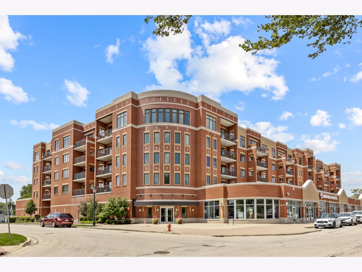 Condominiums Sold Park Street Crossing Roselle Illinois, 225 Main