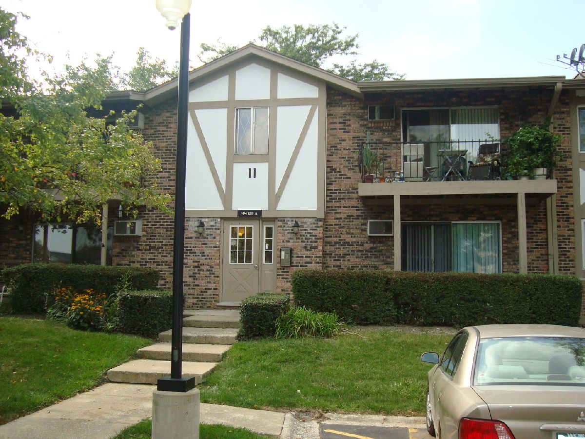 Condos & Townhomes Rented Stratford Green Willowbrook Illinois, 9S040 Lake