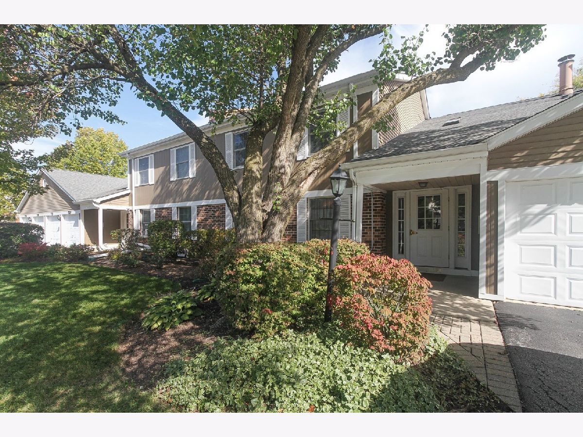 Condominiums Sold Deer Run Palatine Illinois, 723 Deer Run