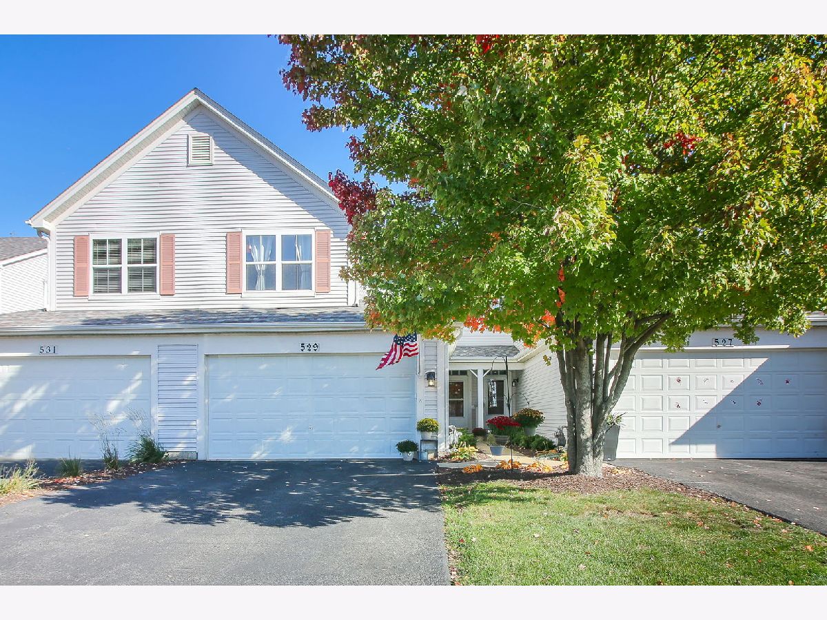 Townhomes Sold Eagles Ridge Bartlett Illinois, 529 Horizon