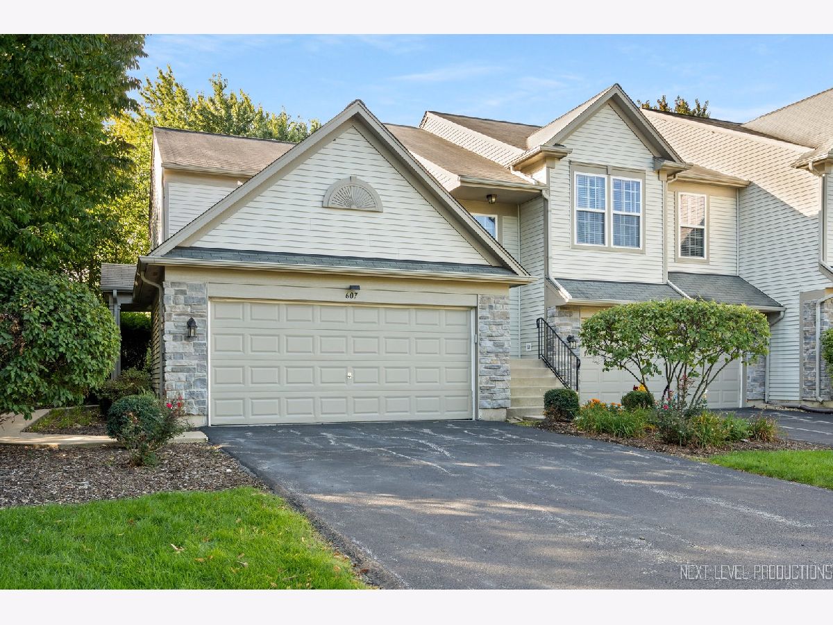 Townhomes & Condos Sold Madison Park Aurora Illinois, 607 Conservatory