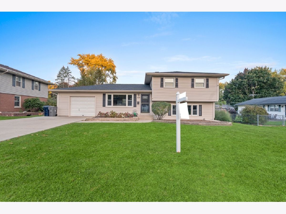 Homes & Condos & Townhomes Sold Eagle Heights Elgin Illinois, 763 Diane