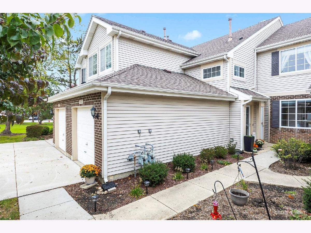Townhomes & Condos Sold Red Rock Schaumburg Illinois, 179 Cripple Creek
