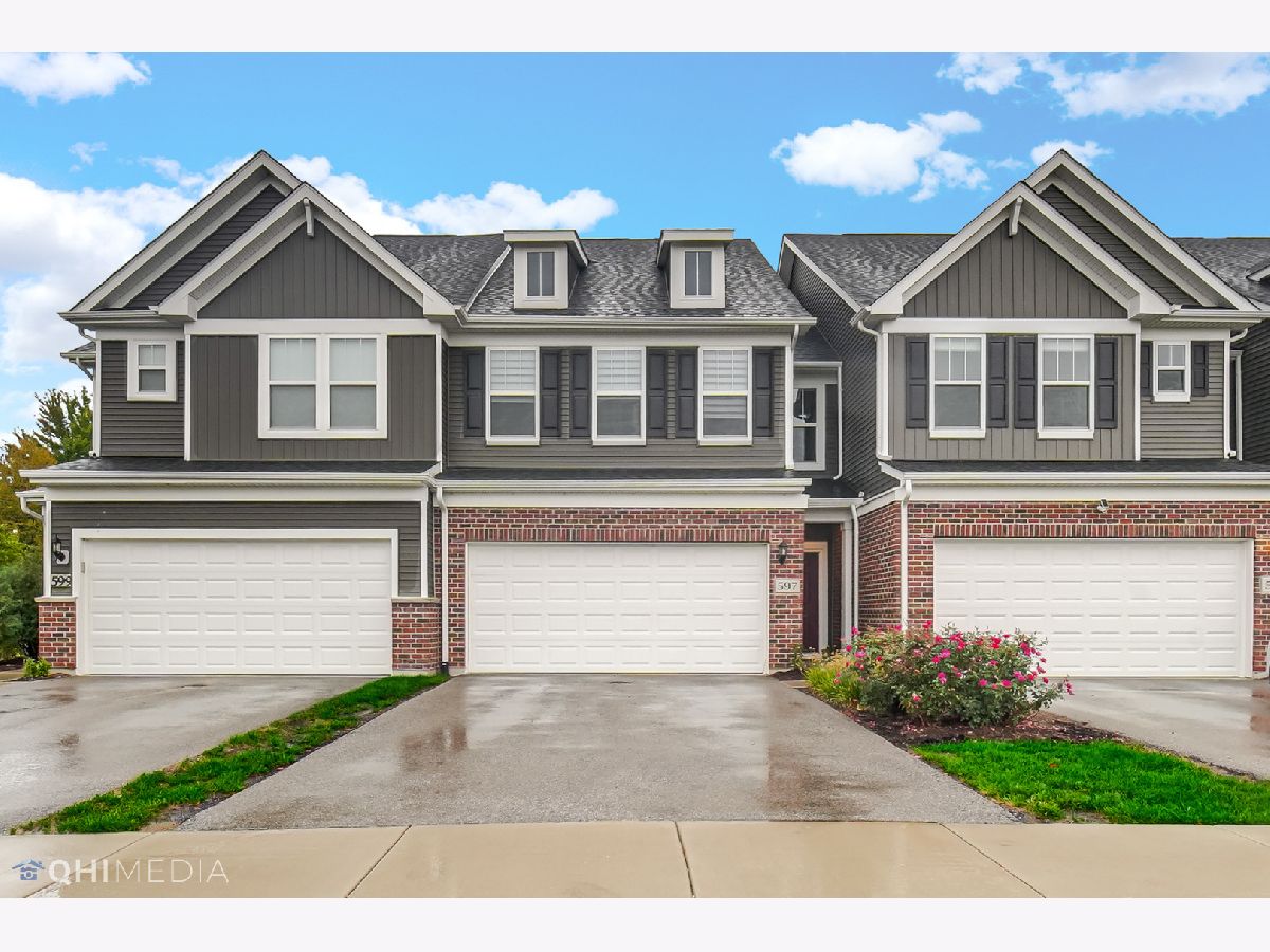 Condos & Townhomes & Homes Rented Meadow Ridge Aurora Illinois, 597 Watercress