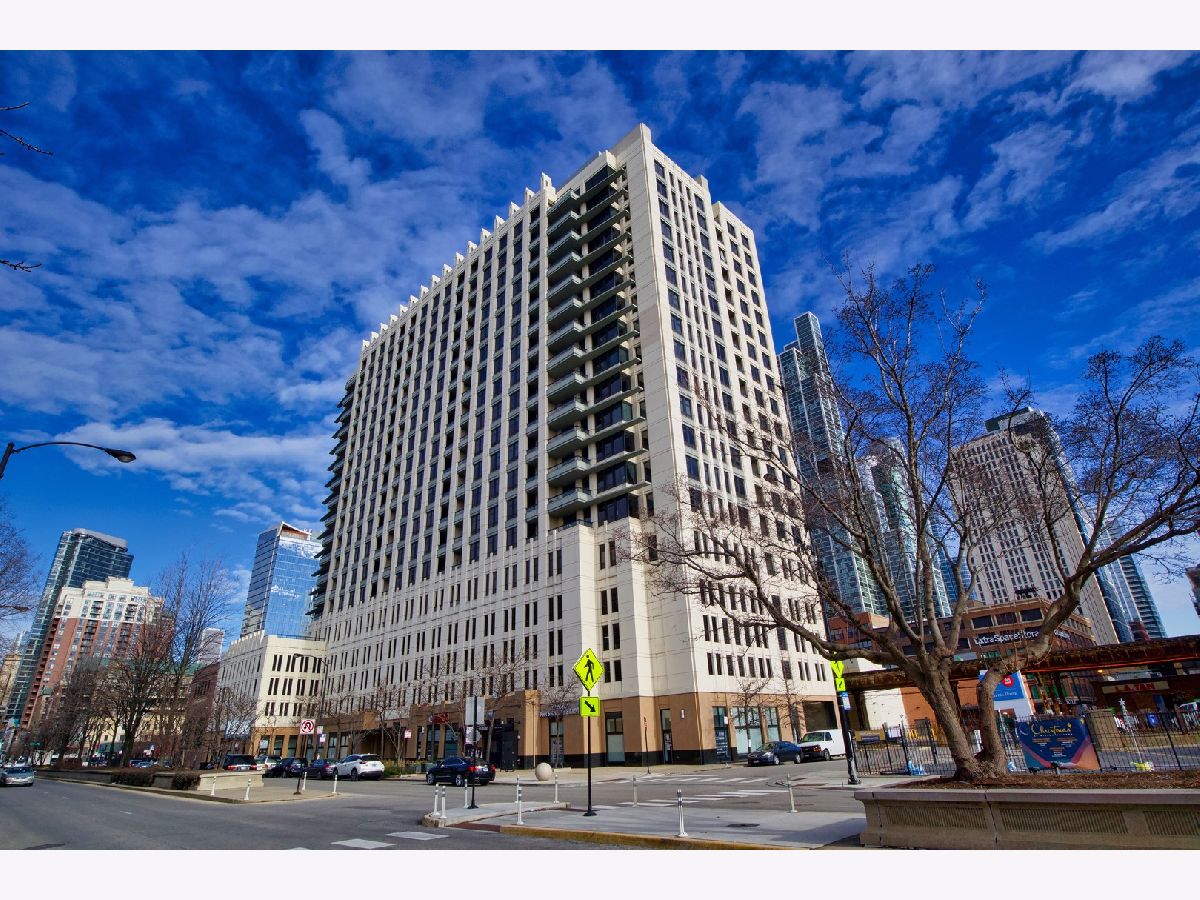 Condominiums Rented Vision On State Chicago Illinois, 1255 State