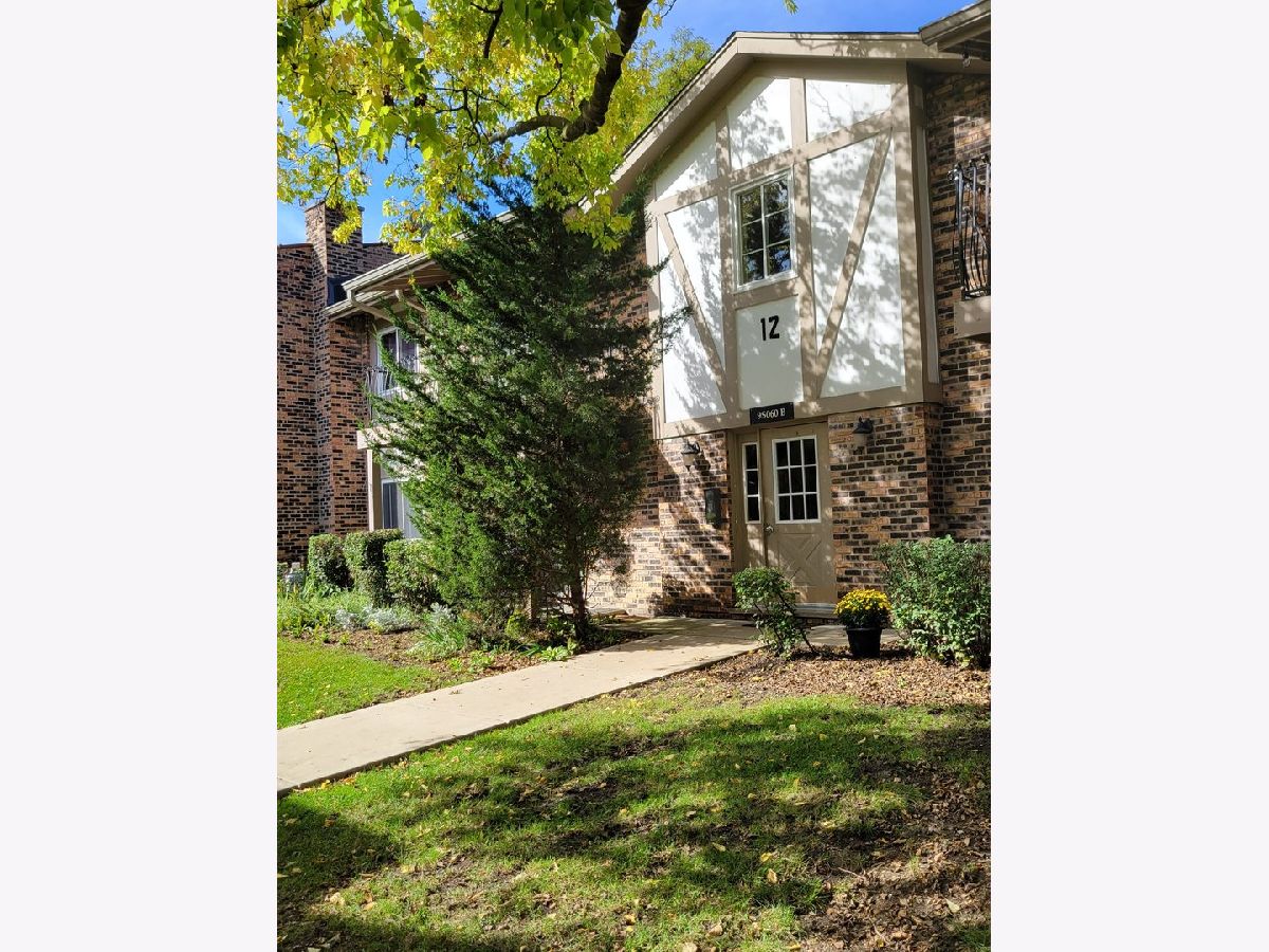 Condos & Townhomes Rented Stratford Green Willowbrook Illinois, 9S060 Lake