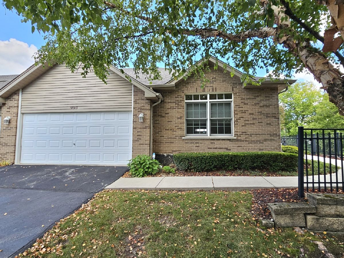 Townhomes & Condos & Homes Sold Manchester Cove Mokena Illinois, 10515 Thornham