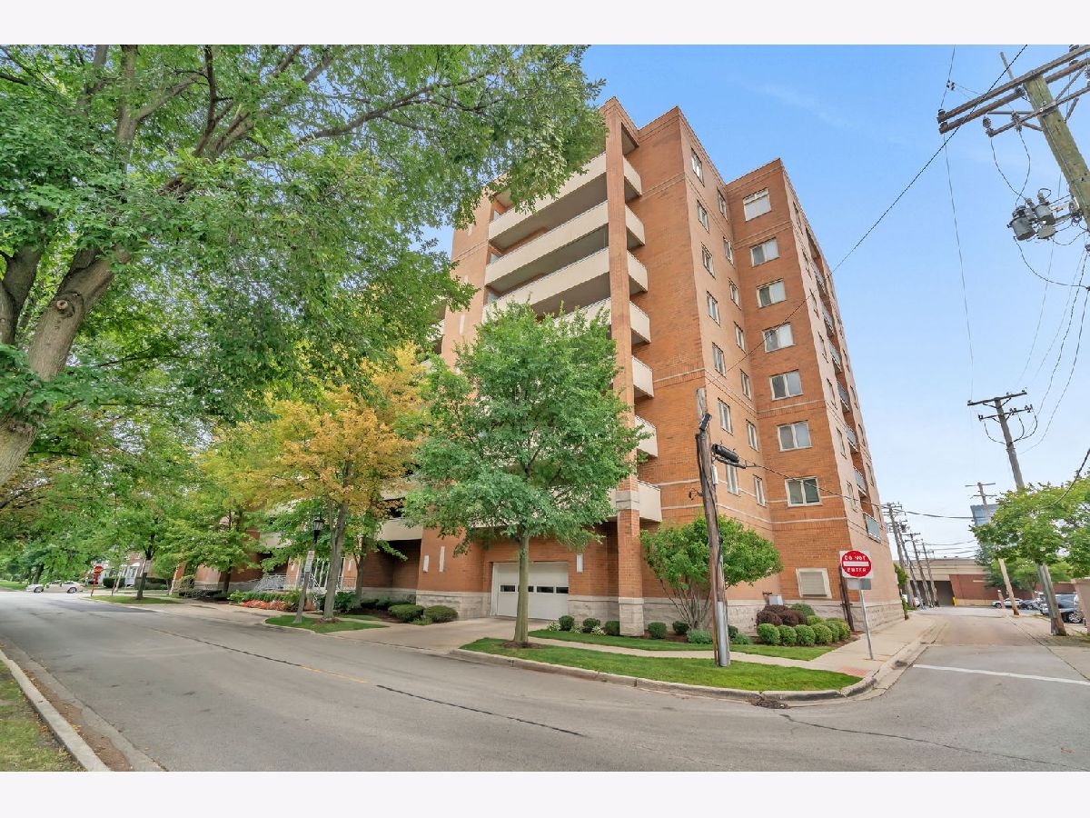 Condos & Townhomes Sold William Place River Forest Illinois, 435 William