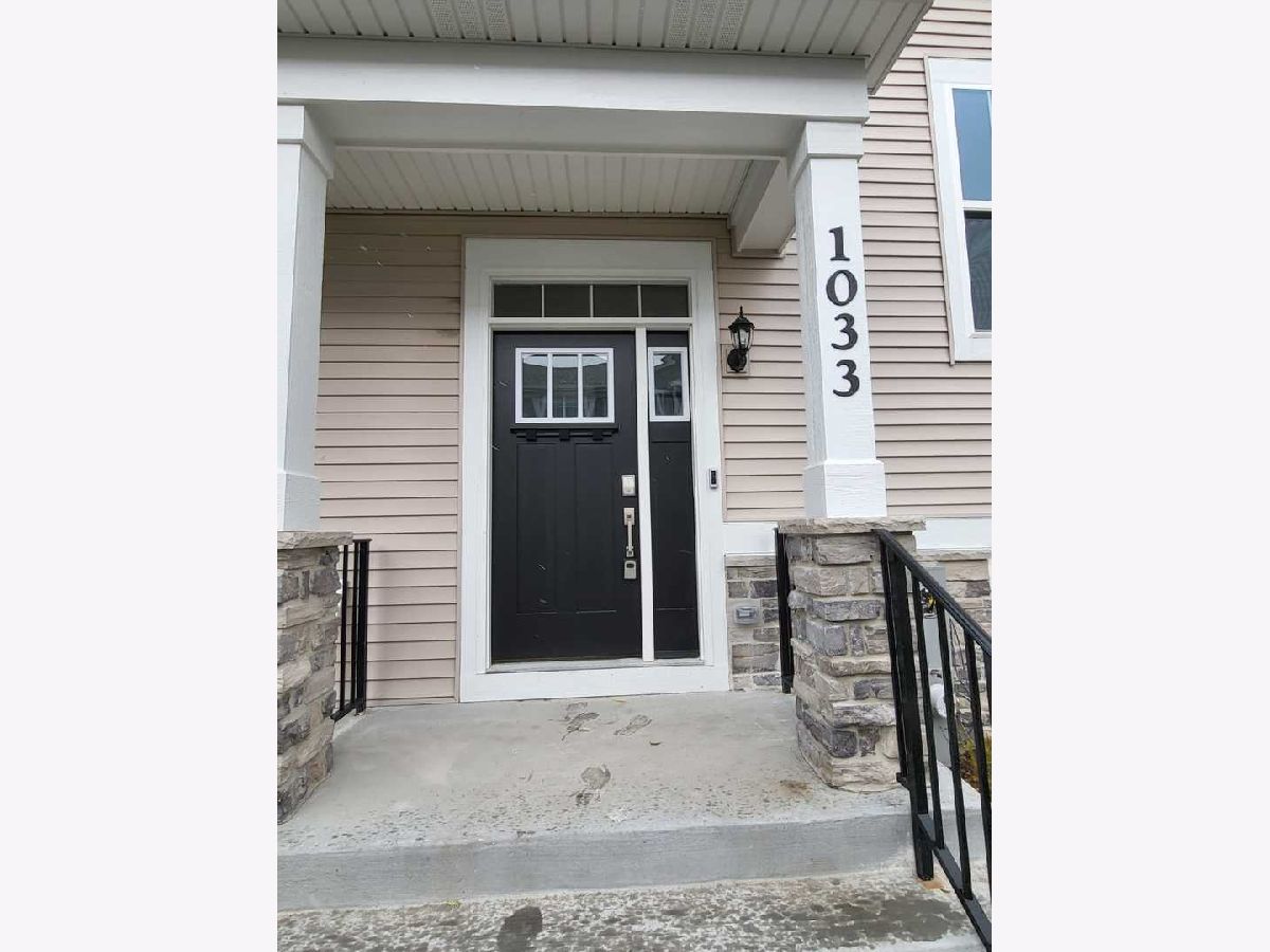 Condos & Townhomes Rented Park Pointe South Elgin Illinois, 1033 Atterberg