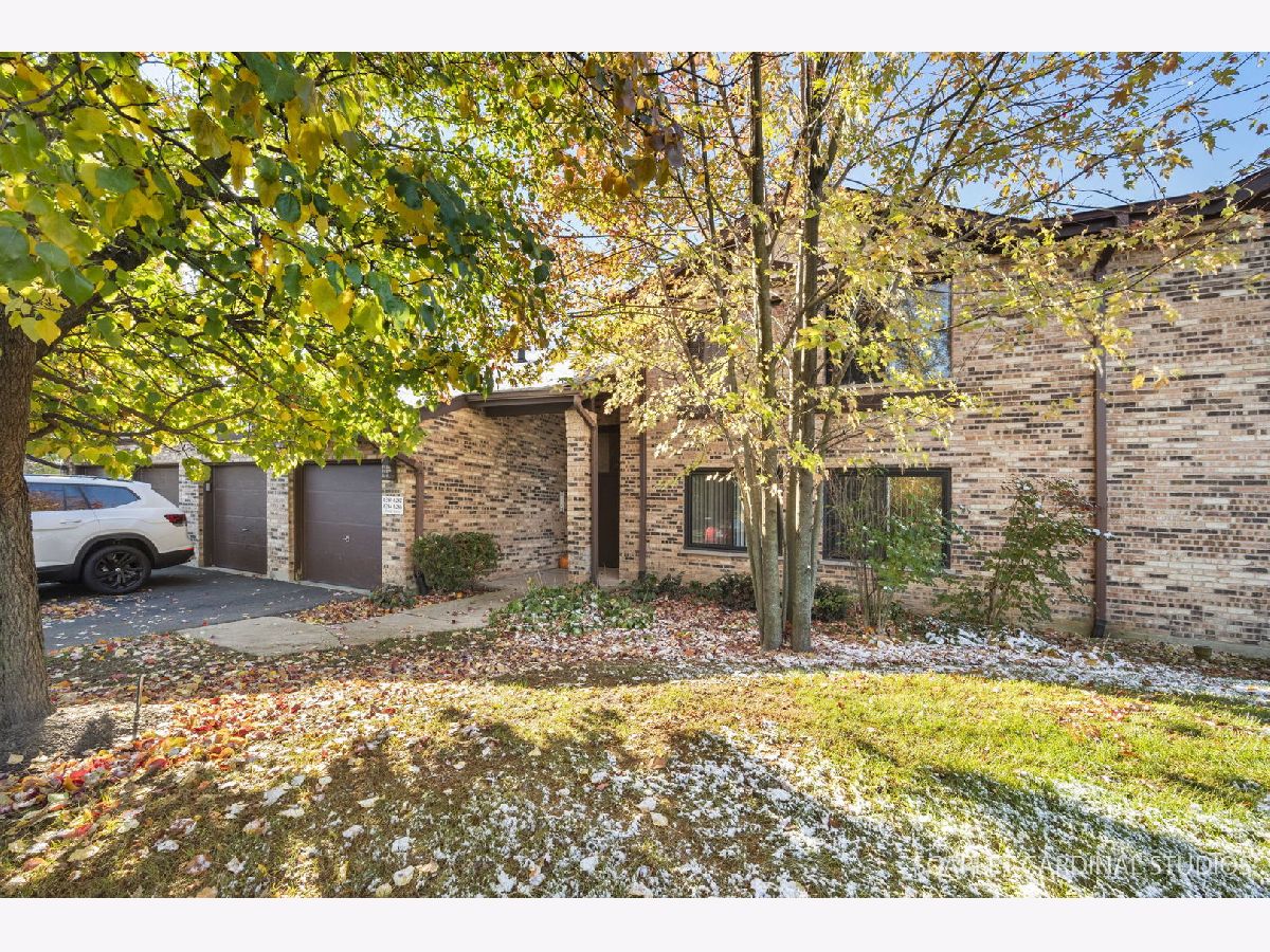 Condominiums Sold Oaks Of Green Trail Lisle Illinois, 6282 Trinity