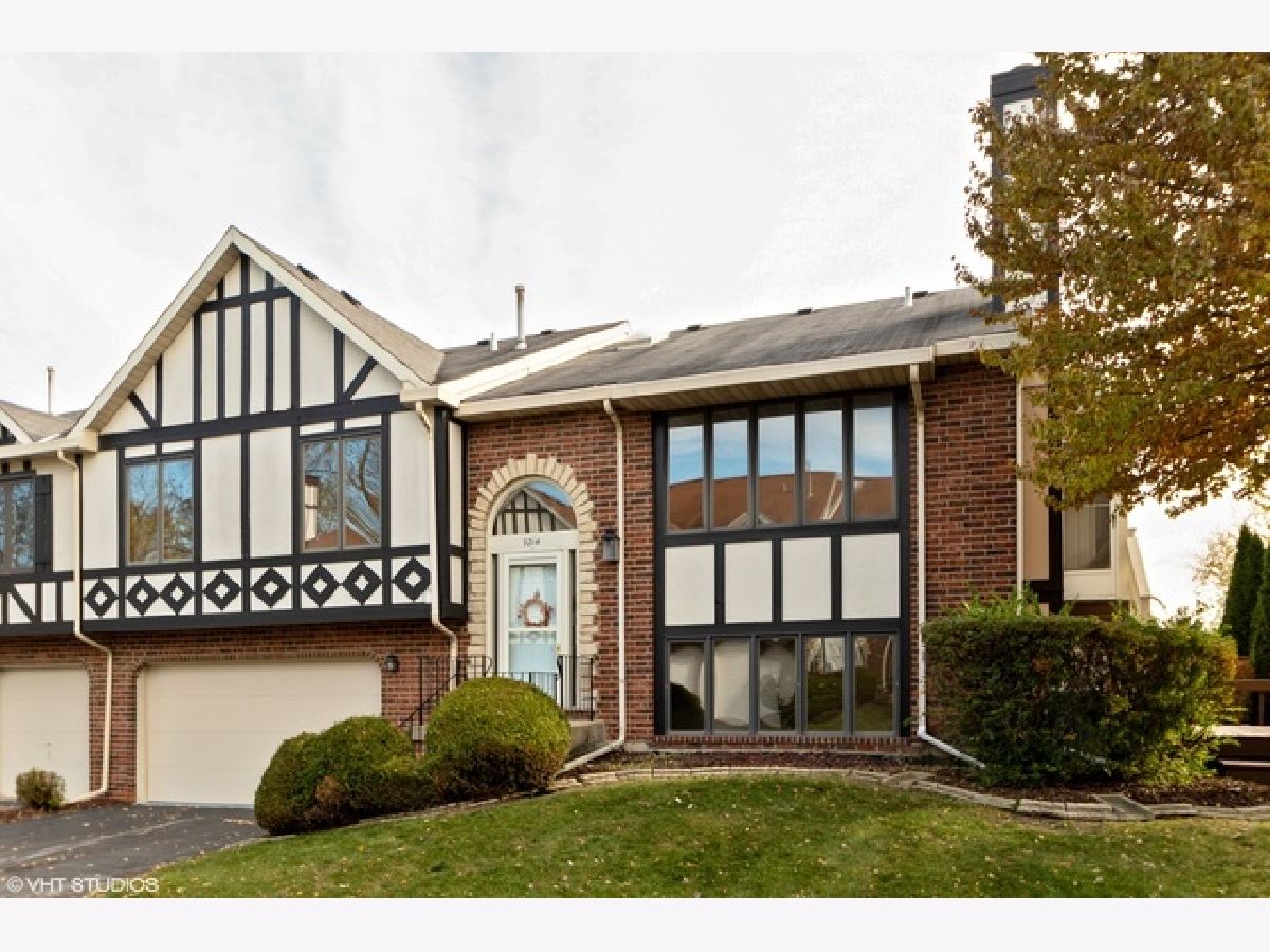 Townhomes & Condos Sold Cambridge Tinley Park Illinois, 9214 Drummond