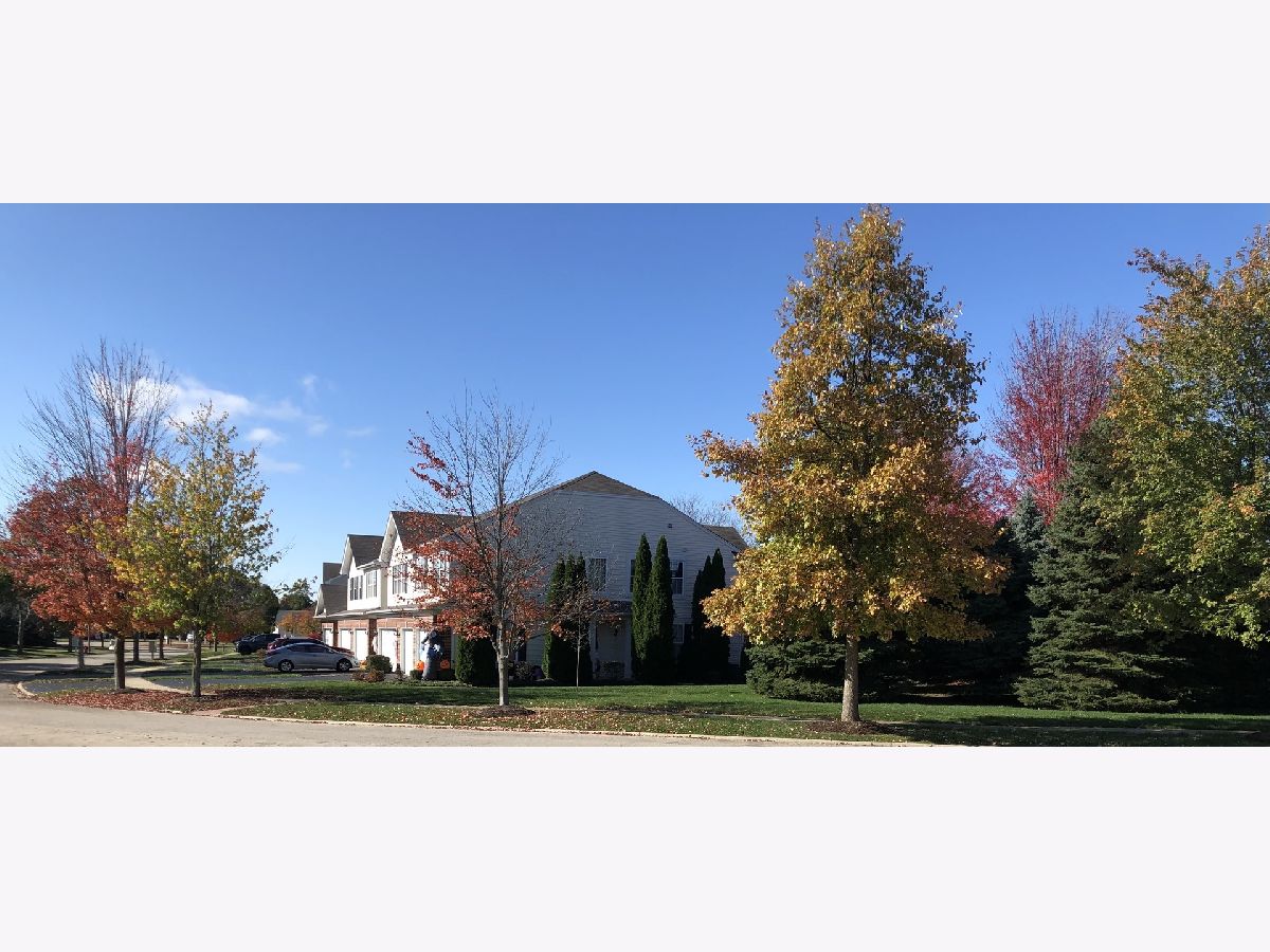 Townhomes & Homes Sold Blackberry Knoll Oswego Illinois, 125 Concord
