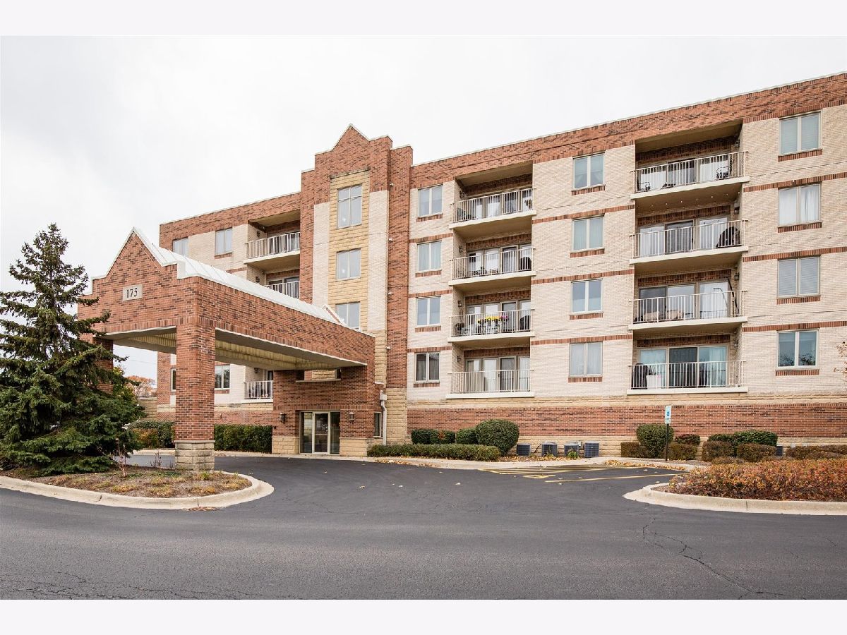 Condominiums Sold Essex Place Elmhurst Illinois, 175 Brush Hill