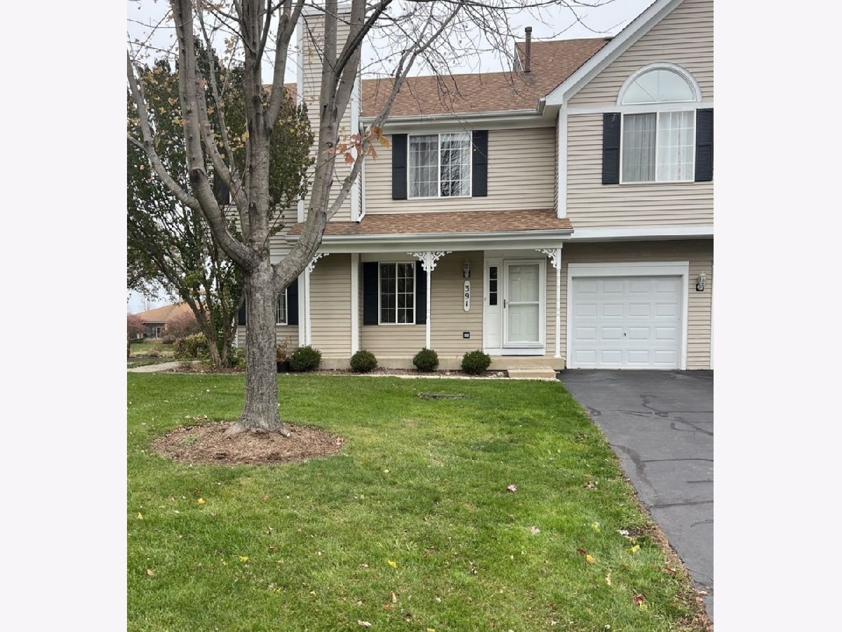 Townhomes & Condos Rented Carriage Homes Of Sandhurst South Elgin Illinois, 391 Lowell