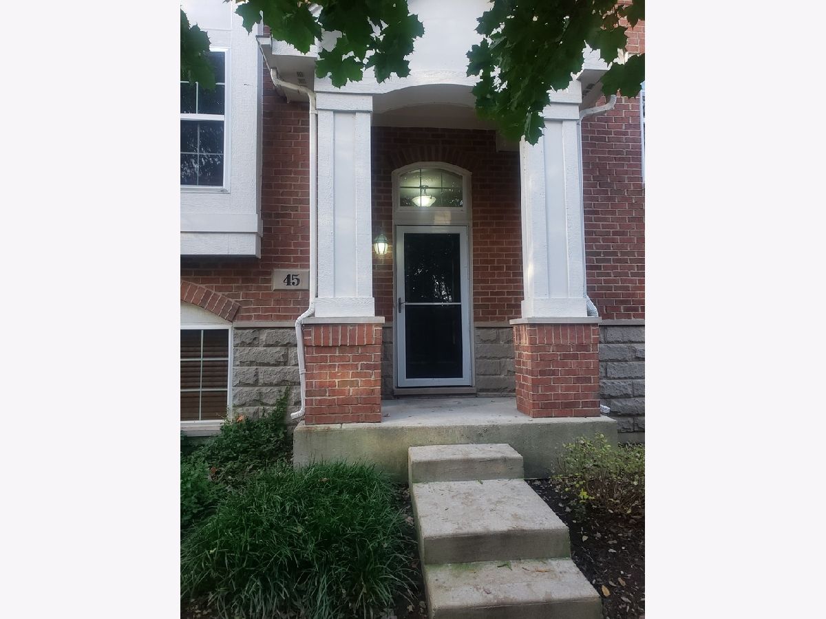 Townhomes & Condos Sold Singer Landing Lemont Illinois, 45 Grace