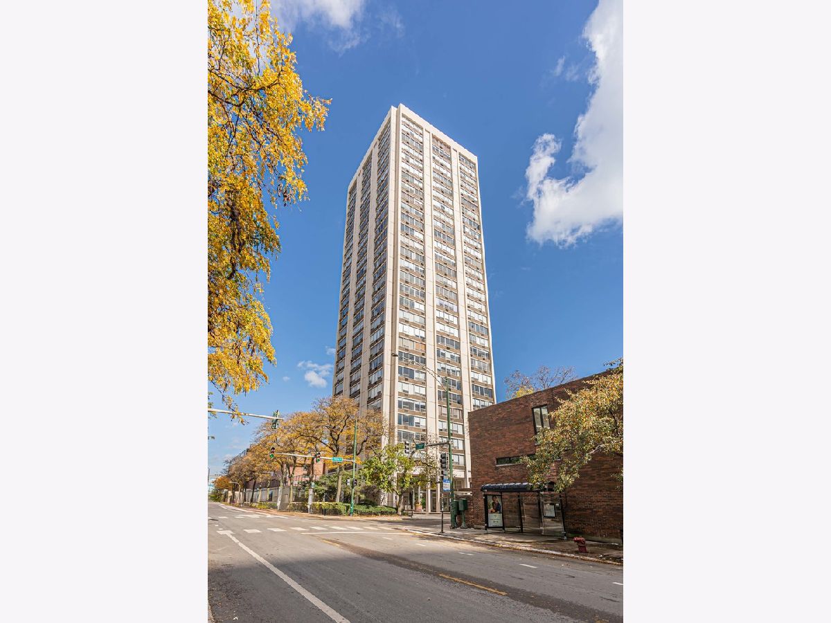 Condominiums Rented Faulkner House Chicago Illinois, 70 Burton