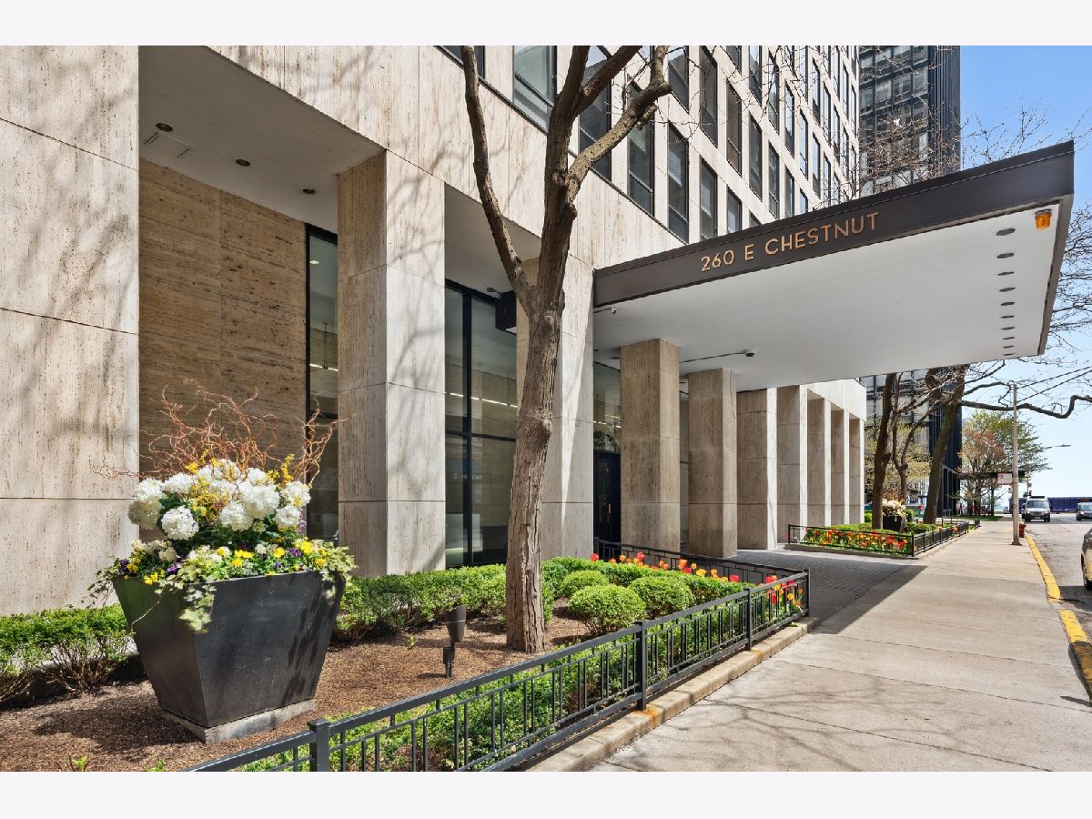 Condominiums Rented Plaza On Dewitt Chicago Illinois, 260 Chestnut