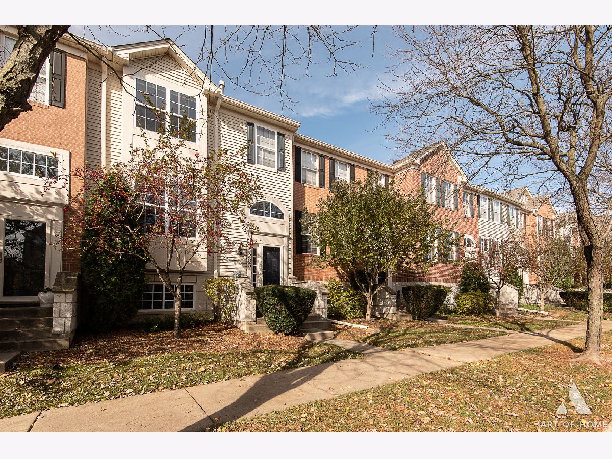 Townhomes Sold Renaissance Station Willow Springs Illinois, 203 Willow