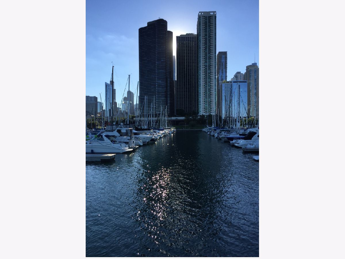 Condominiums Sold Park Shore Condos Chicago Illinois, 195 Harbor