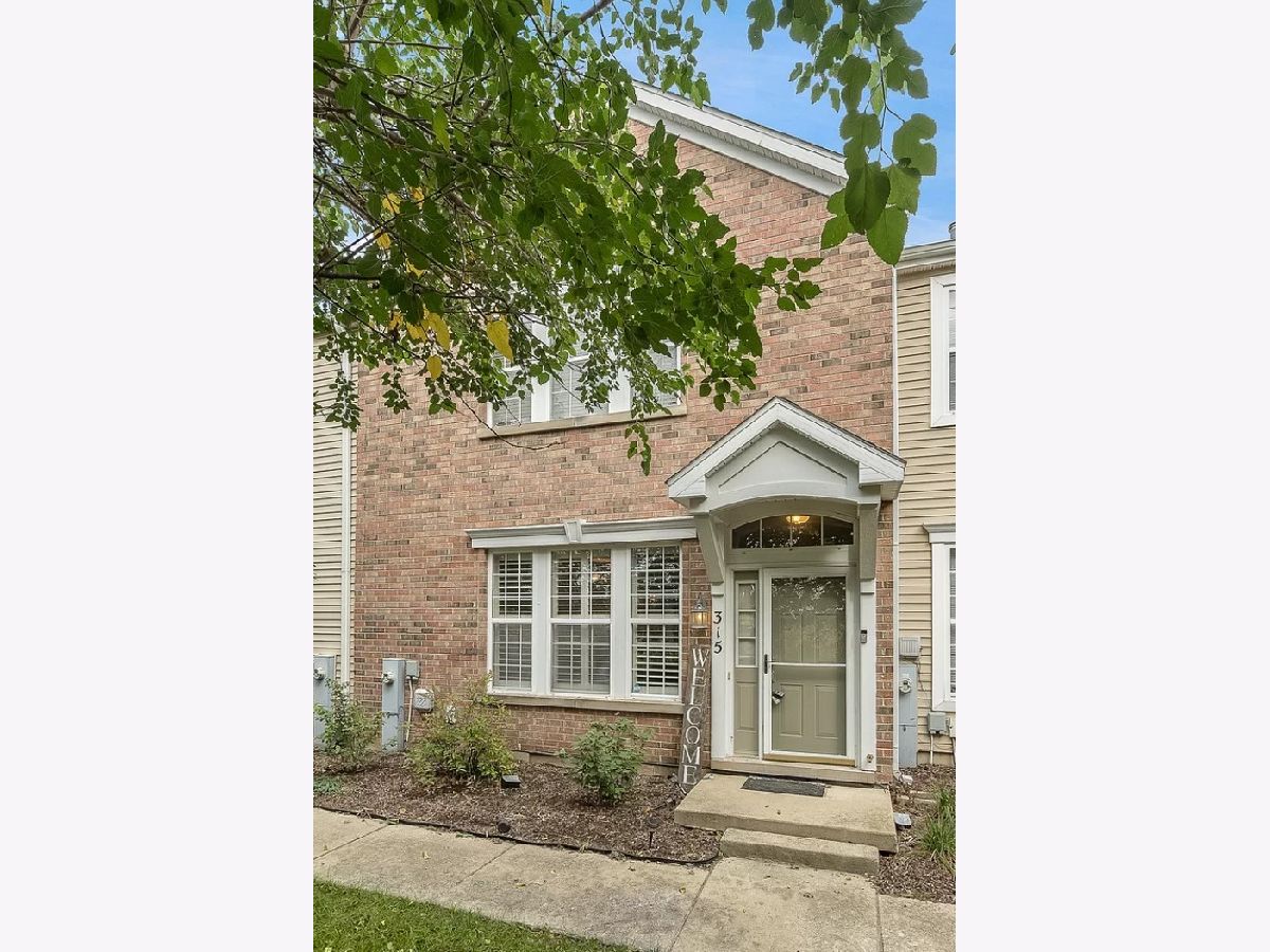 Townhomes Rented Springbrook Townhomes Oswego Illinois