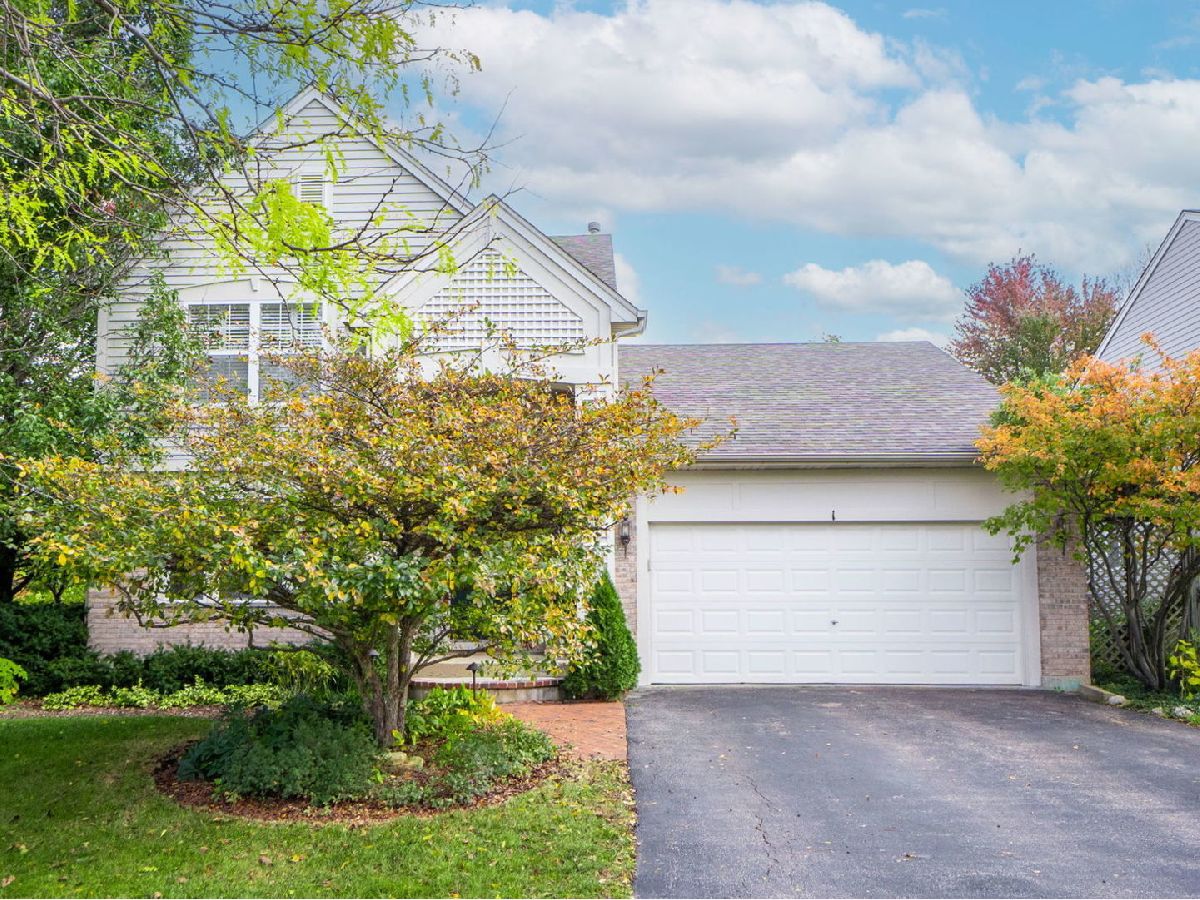 Homes Sold River Ridge South Elgin Illinois, 1 Conway