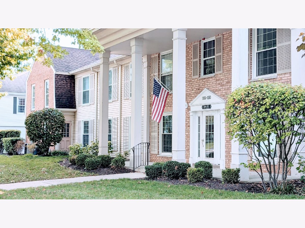 Condos & Townhomes Sold The Mansions Naperville Illinois, 1080 Spring Garden
