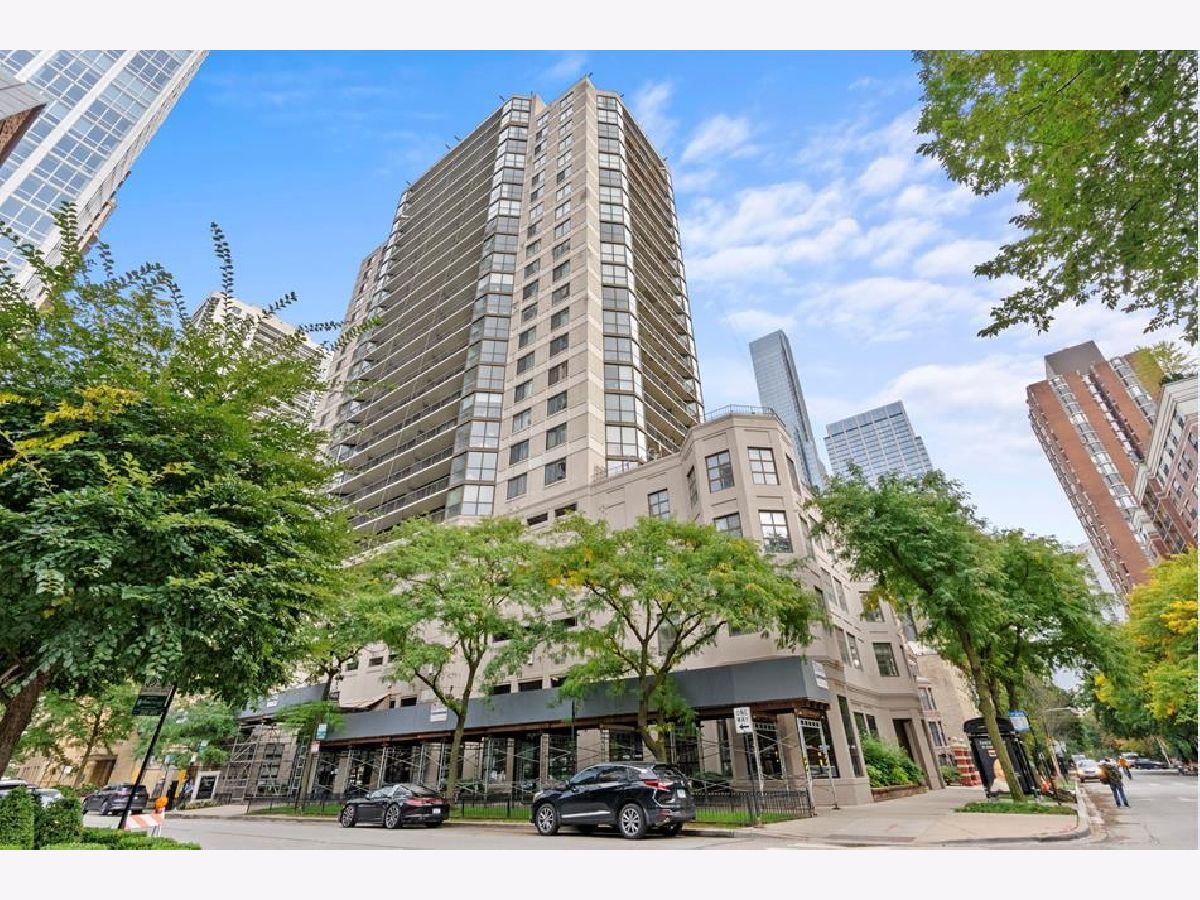 Condos & Townhomes Rented Delaware Place Chicago Illinois, 33 Delaware