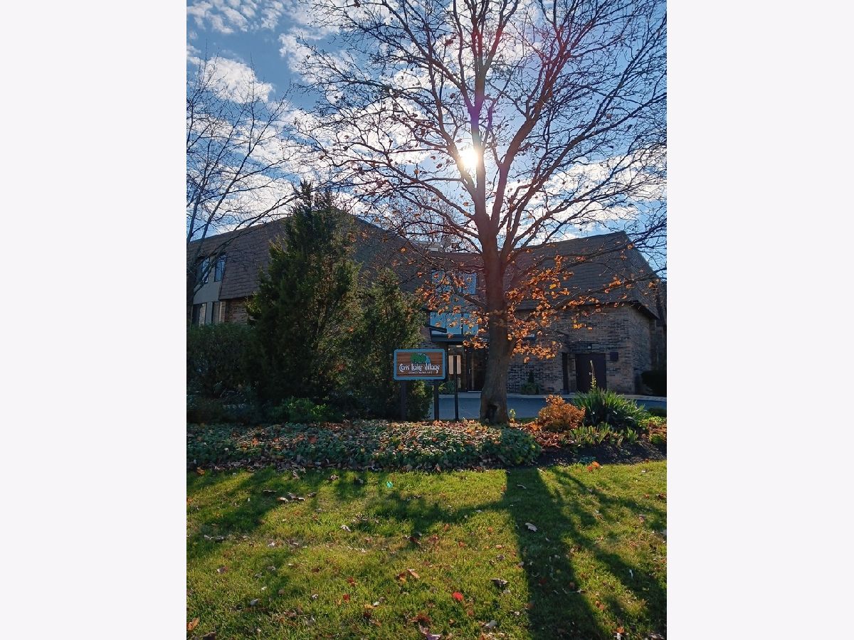Condominiums Sold Cass Lake Village Westmont Illinois