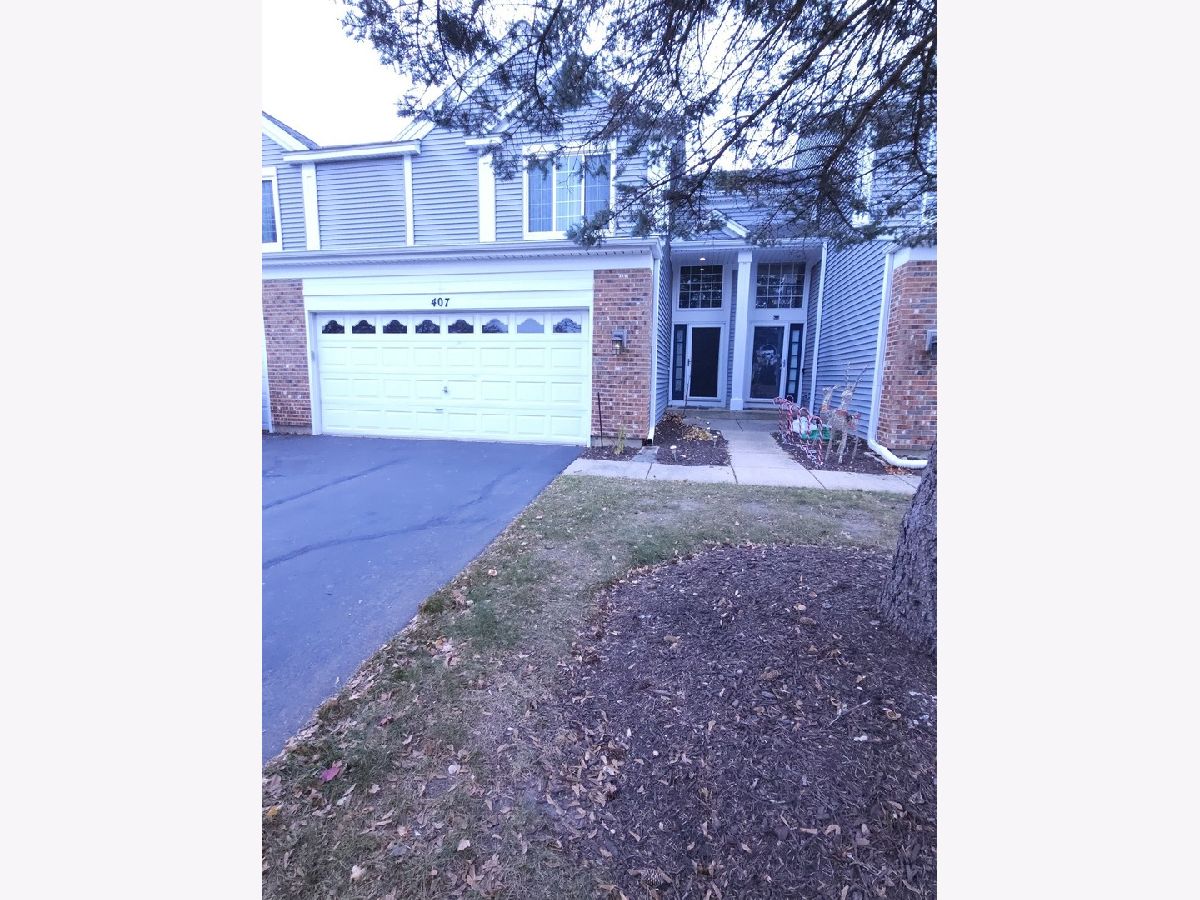Townhomes & Condos & Homes Rented Amber Grove Bartlett Illinois, 407 Spaulding
