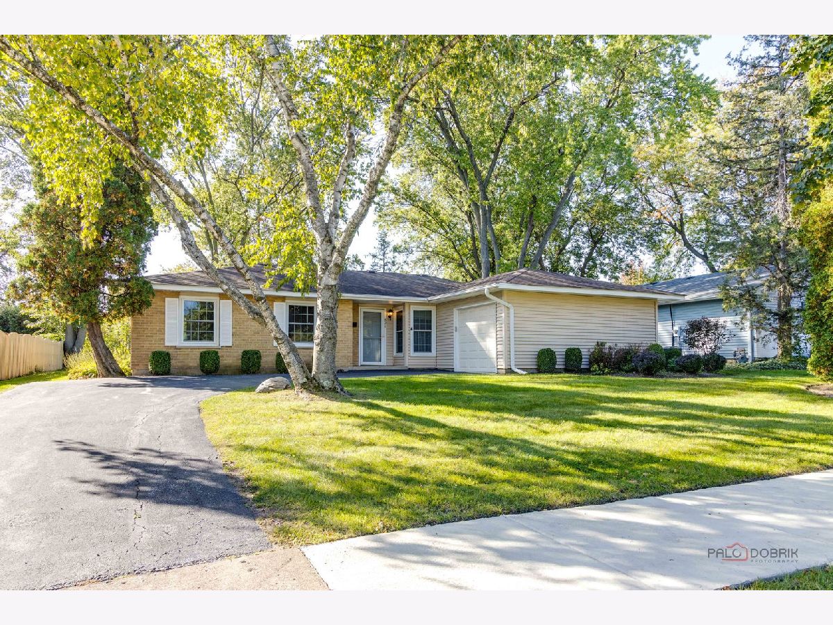 Homes Rented Hasbrook Arlington Heights Illinois, 821 Lynnwood