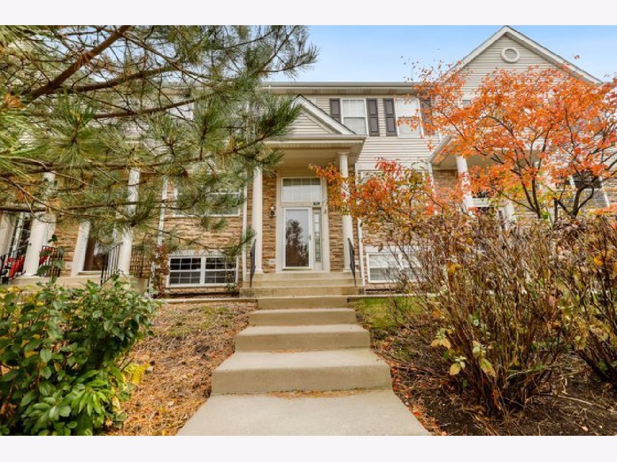 Townhomes & Homes Rented Insignia Court Palatine Illinois, 874 Insignia