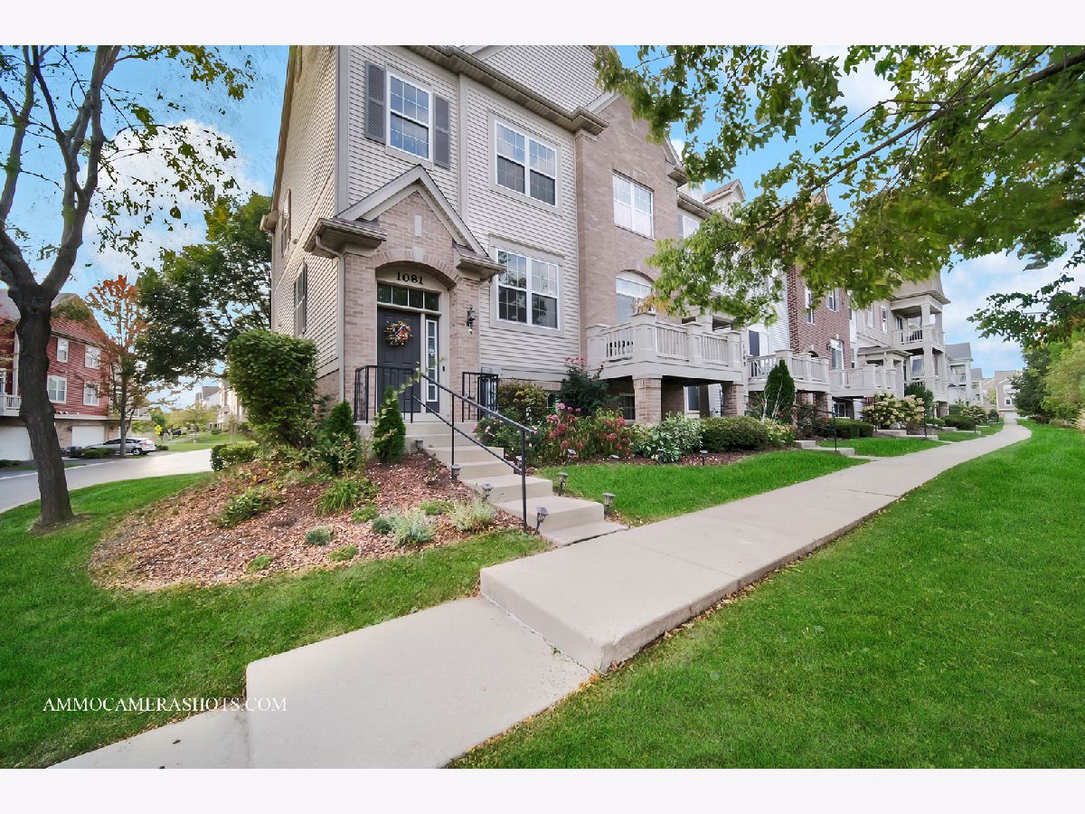 Townhomes & Condos Sold Fountains At Town Center Carol Stream Illinois, 1081 Bartholdi