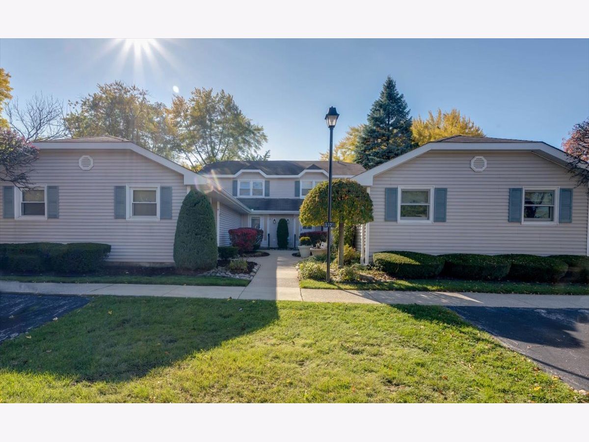 Condos & Townhomes Sold Shade Tree Oak Forest Illinois, 5325 Creekside