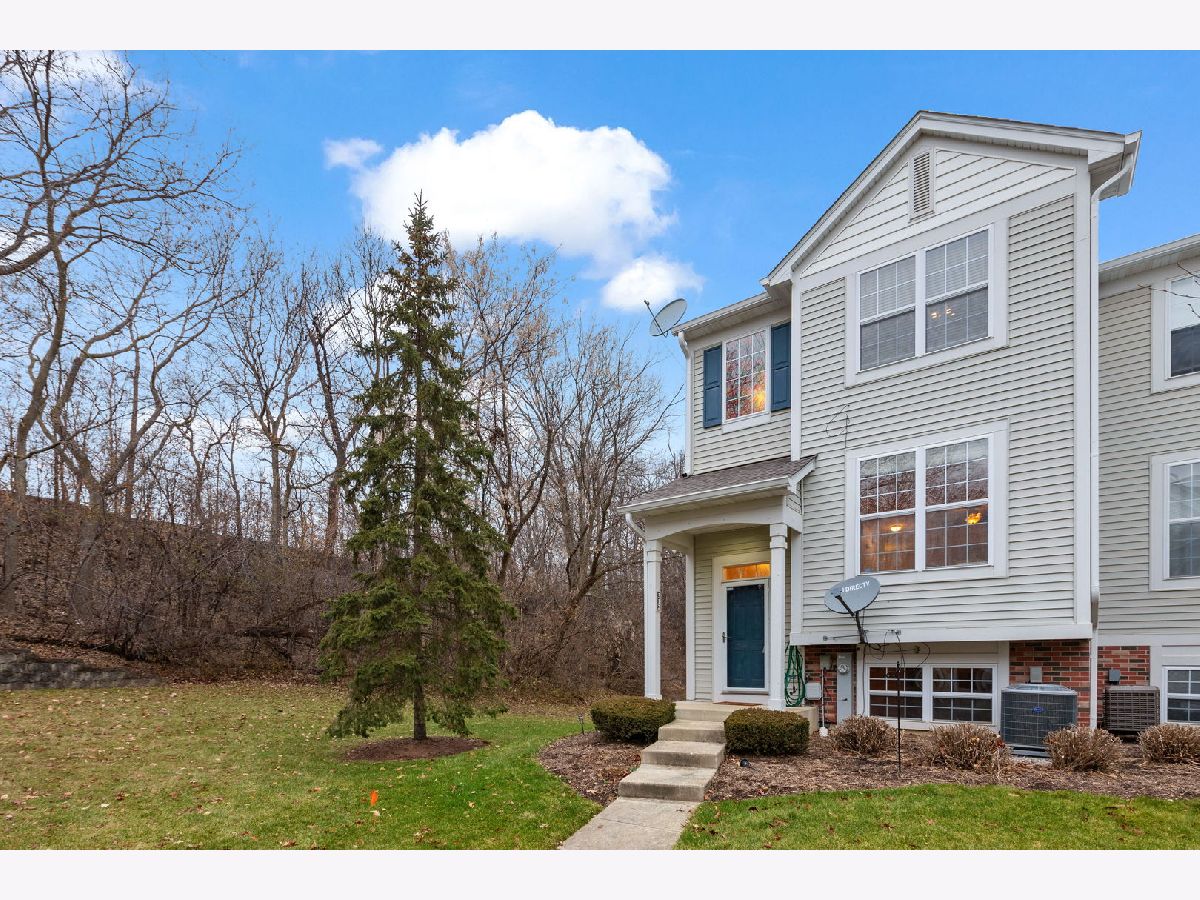Townhomes Sold Terra Springs Volo Illinois, 312 Terra Springs