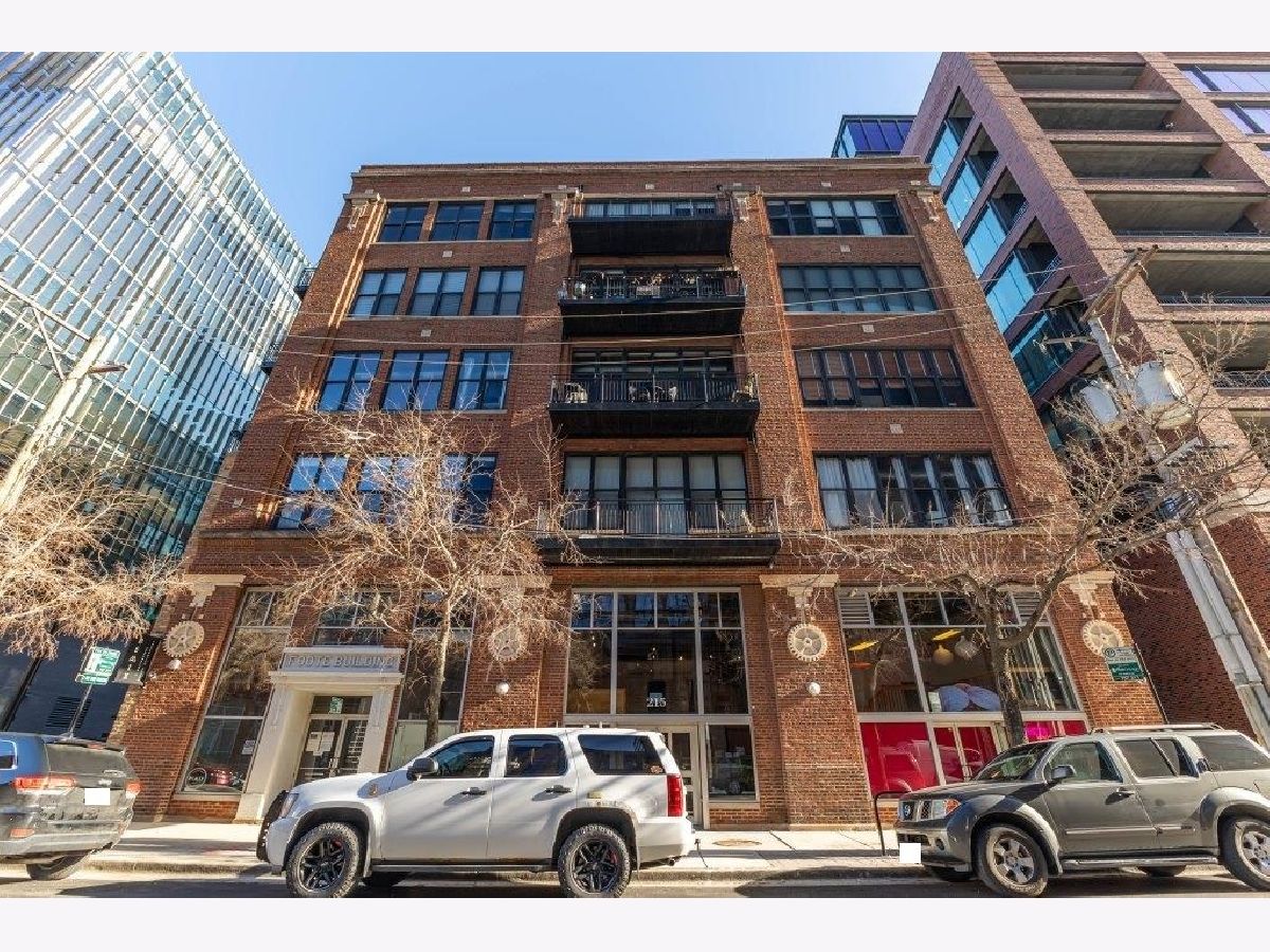 Condos & Townhomes Sold Blue Moon Lofts Chicago Illinois, 215 Aberdeen