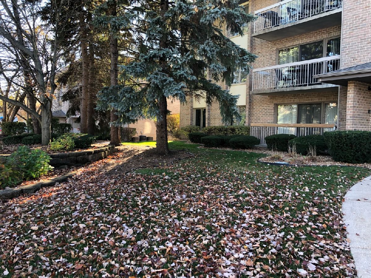 Condominiums Sold Ashley Point Lockport Illinois, 1068 Ashley