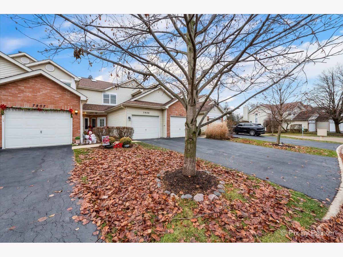 Townhomes Sold Darien Lake Darien Illinois, 7809 Darien Lake