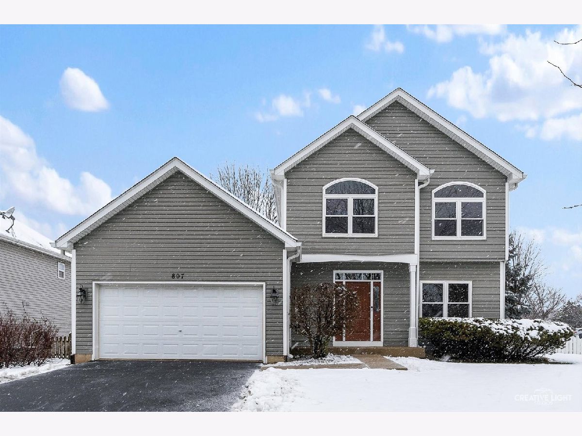 Homes Sold Willow Lakes North Aurora Illinois, 807 Dogwood