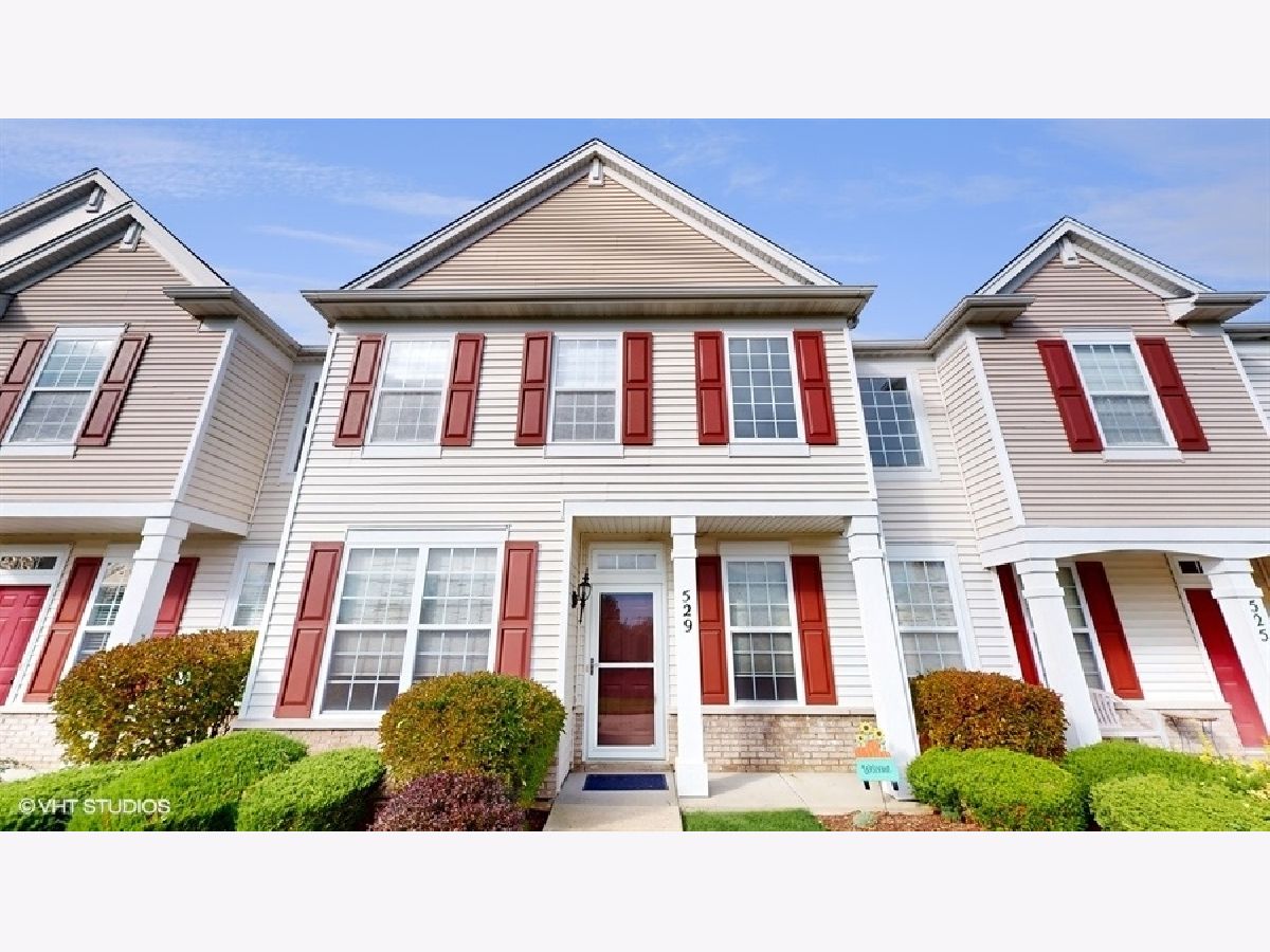 Townhomes & Condos Sold Lake Street Square Grayslake Illinois, 529 Cannon Ball