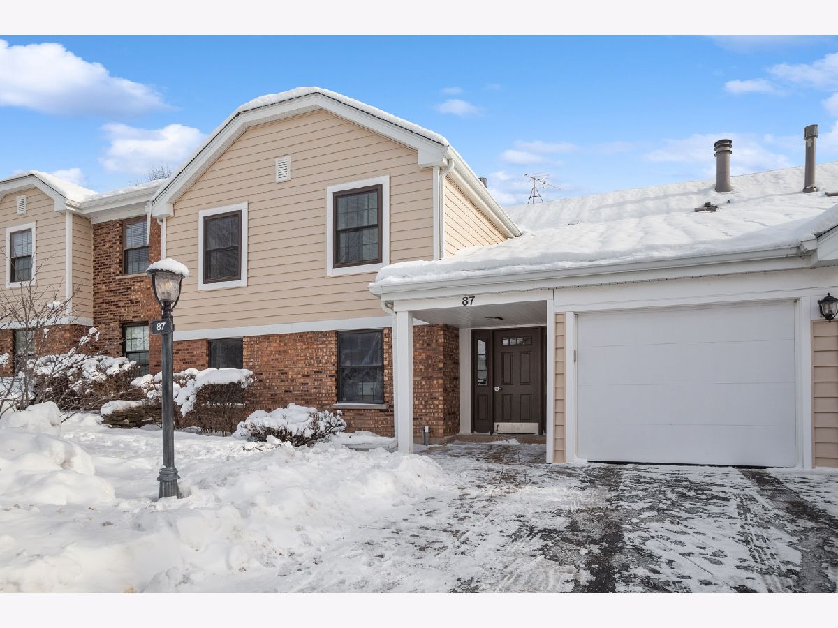 Condominiums & Homes Sold Lexington Village Schaumburg Illinois, 87 Marble Hill