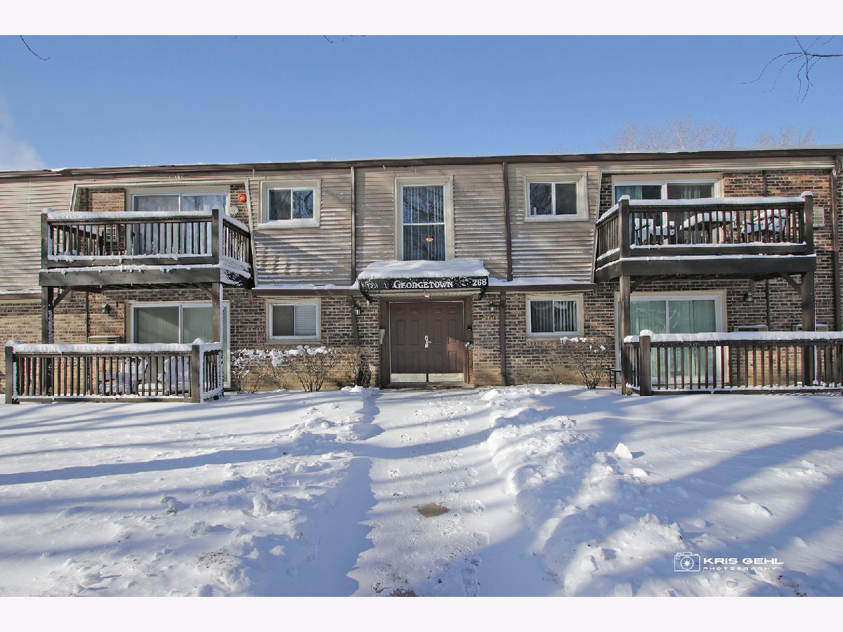 Condominiums Sold Georgetown Palatine Illinois, 268 Carter