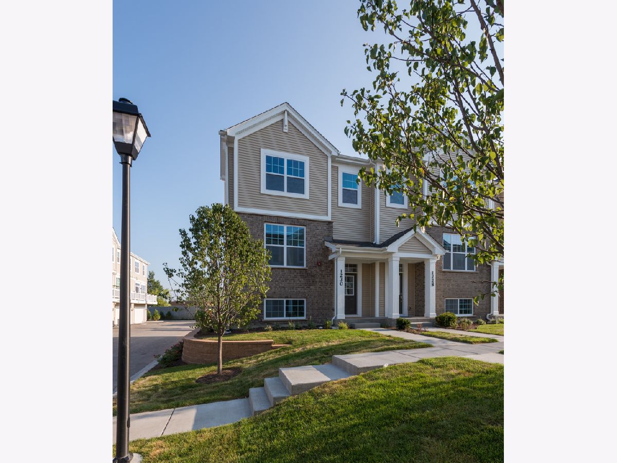 Townhomes Sold Park Ridge Reserve Park Ridge Illinois, 1230 Elm
