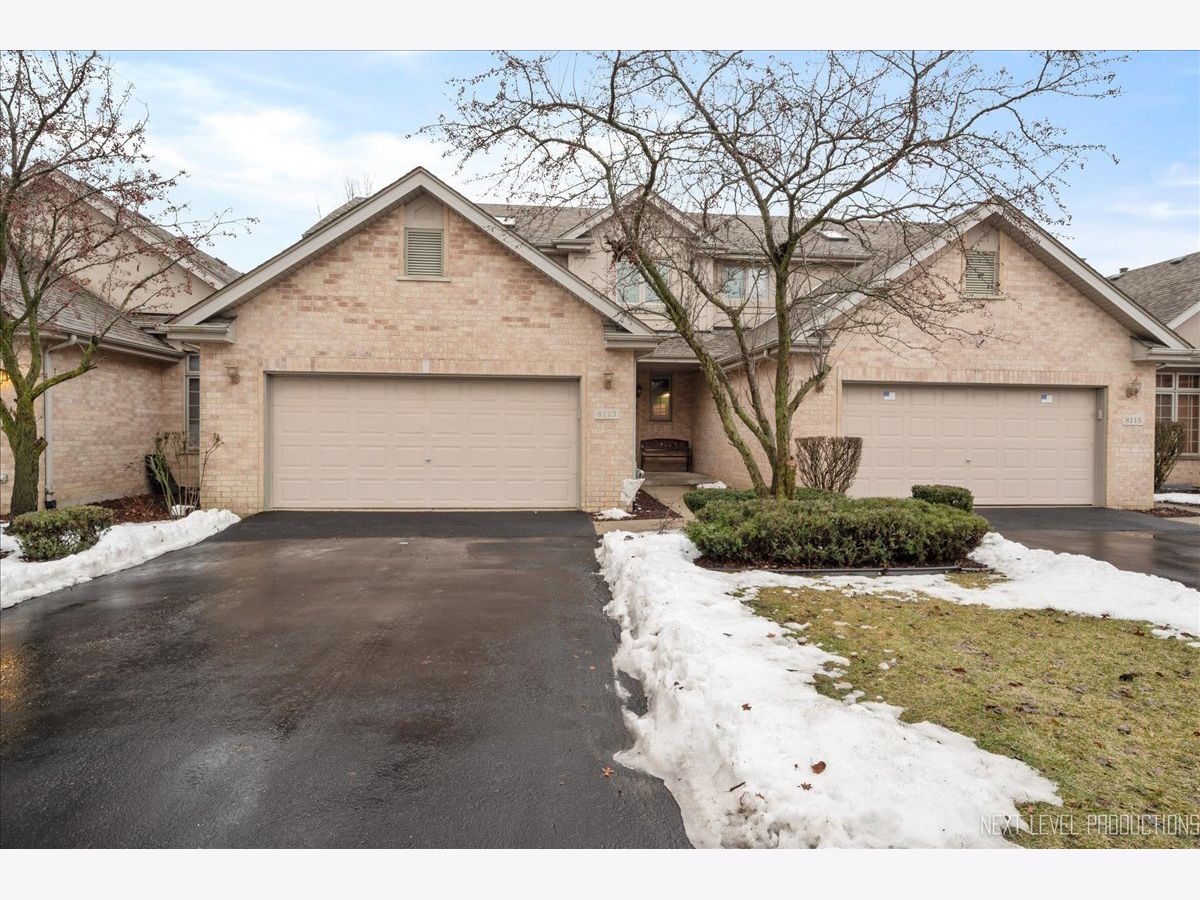 Homes & Townhomes Sold Avondale Meadows Tinley Park Illinois, 8113 Nielsen