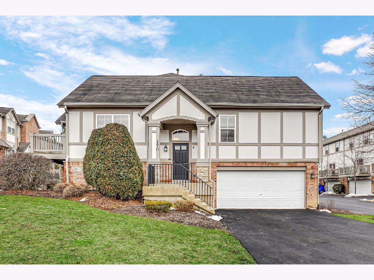 Townhomes & Condos & Homes Sold Concord Village Lake Zurich Illinois, 170 Rosehall