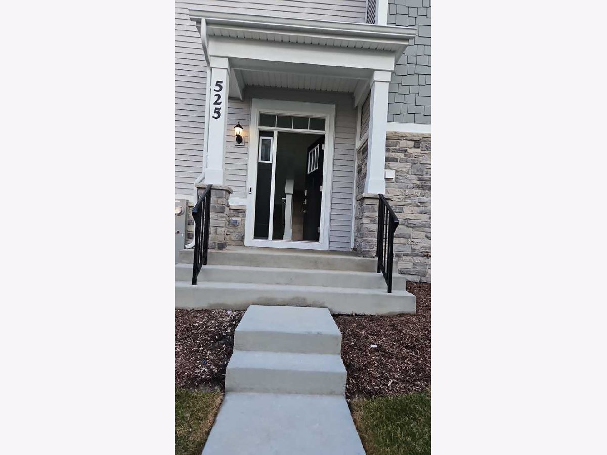 Condos & Townhomes Rented Liberty Meadows Aurora Illinois, 525 Wolverine