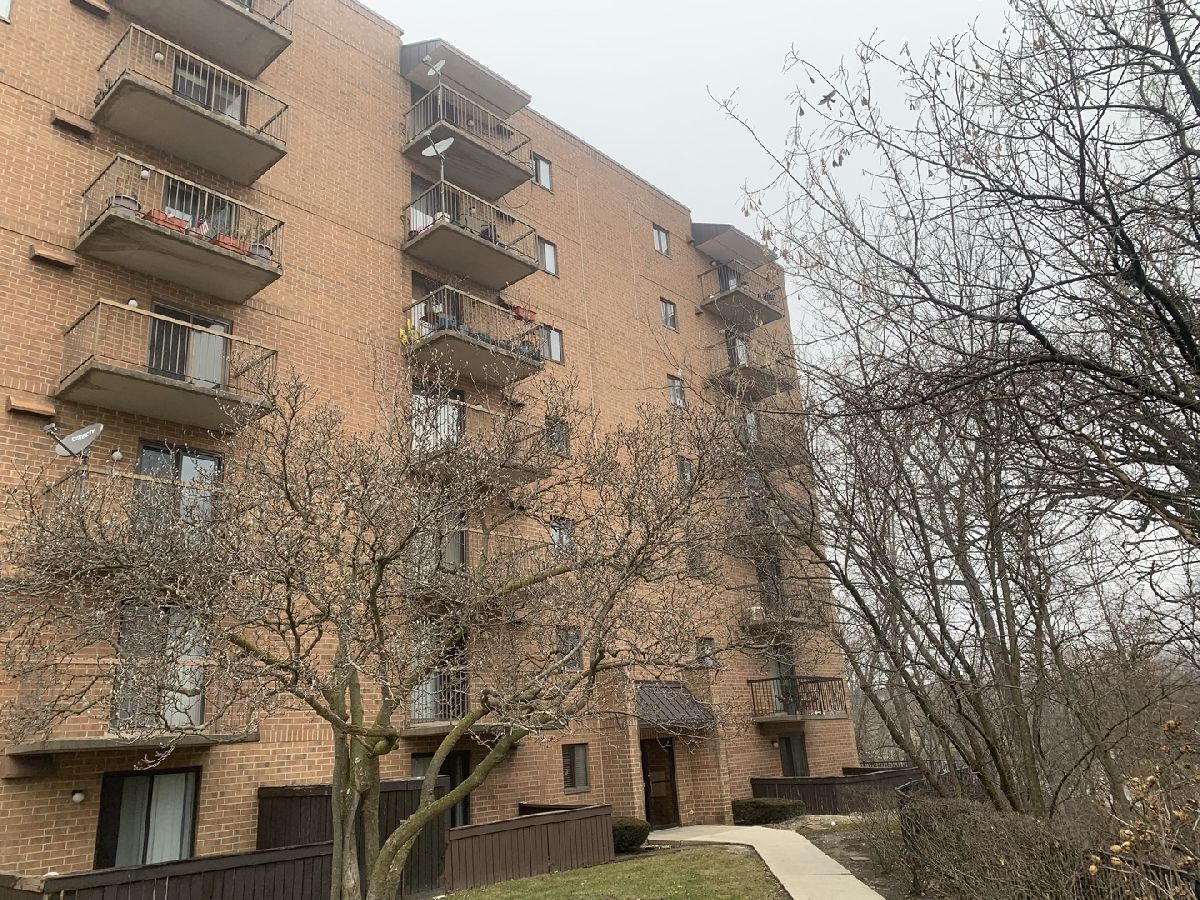 Condos & Townhomes & Homes Sold Edgewater Walk Tinley Park Illinois, 5950 Lake Bluff