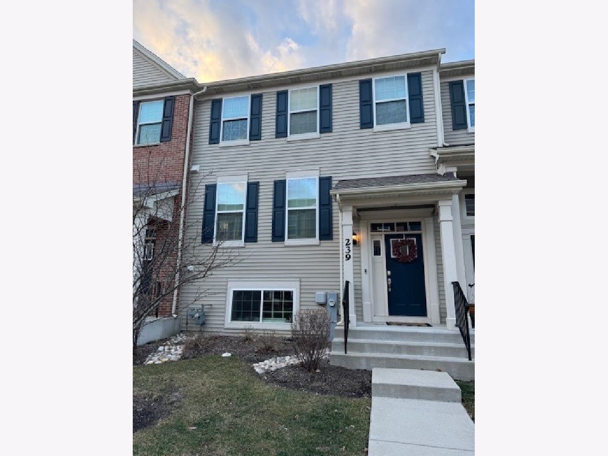 Condos & Townhomes Rented Seasons At Southbury Oswego Illinois, 239 Lakeshore
